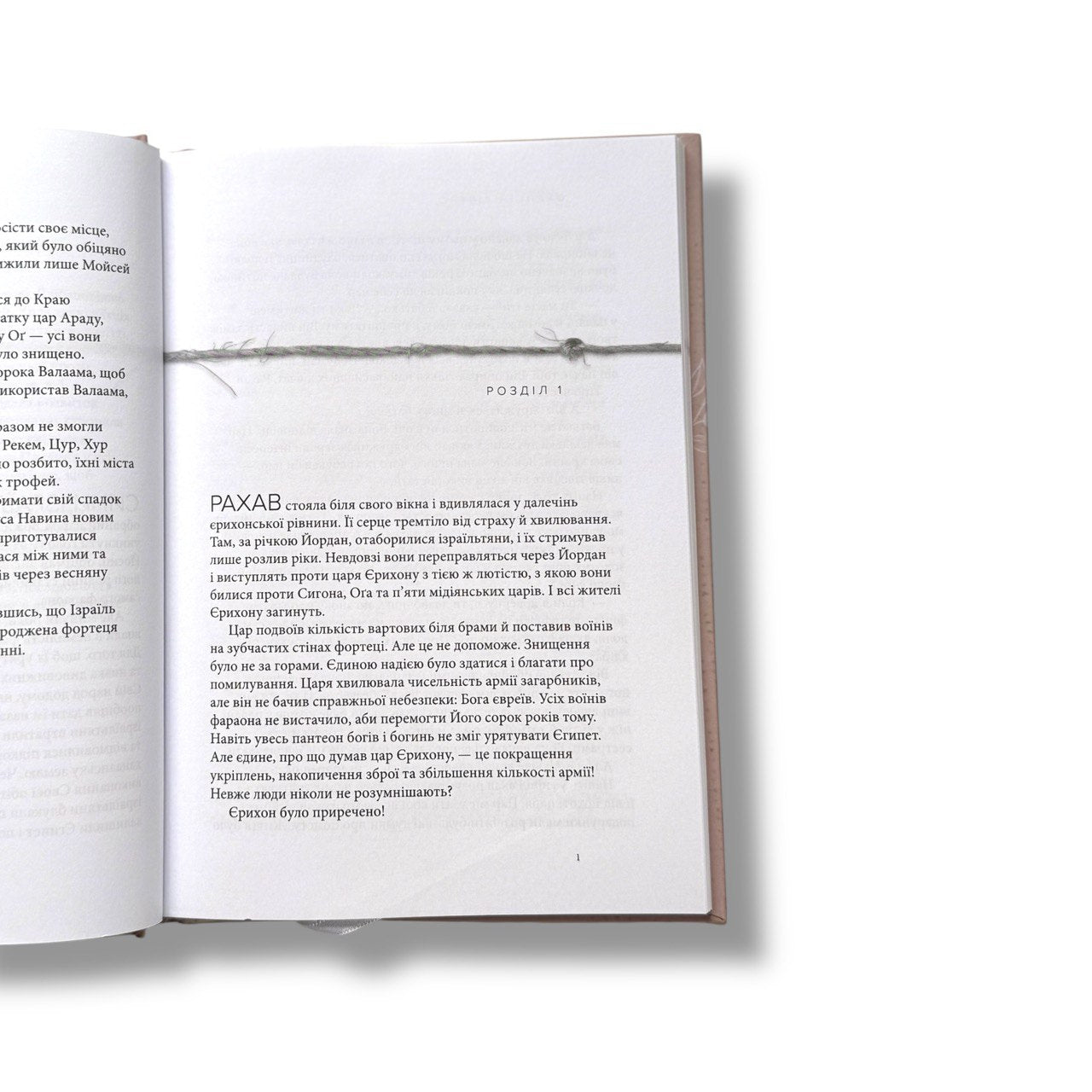 Рахав. Незасоромлена. Жінка віри (серія Родовід благодаті)