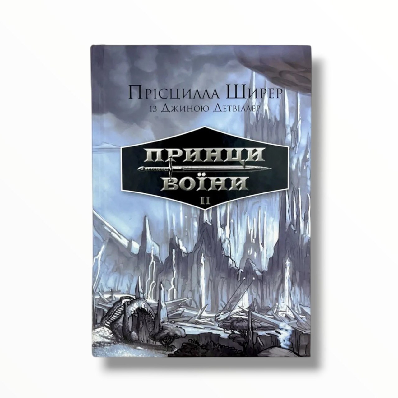 Принци воїни. Книга 2 (підліткове фентезі)