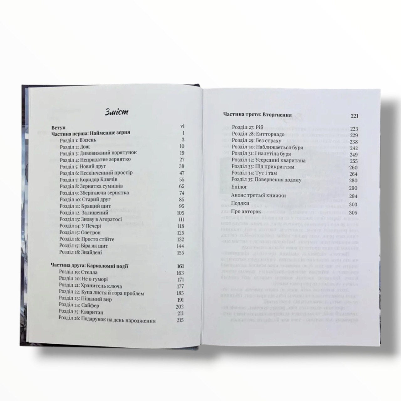 Принци воїни. Книга 2 (підліткове фентезі)